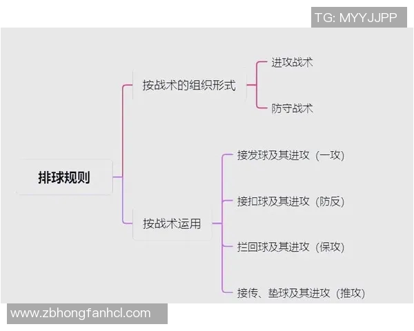 赛后分析:上海排球队与南京排球队灵活性对比及战术探讨